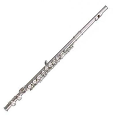 Флейта для музыкальной школы