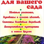Семена овощей и цветов, саженцы в Витебске