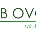 Работай в Польше с AB OVO Solutions!