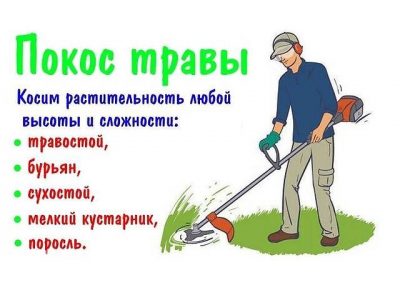 Покос травы и бурьяна, спил кустарников и мелких деревьев