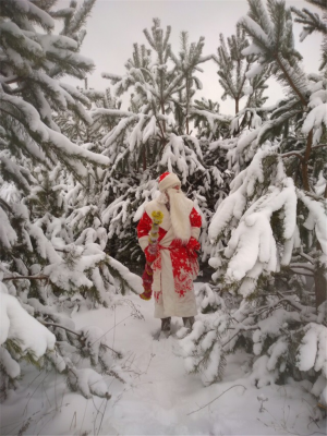 Дед Мороз и Снегурочка в детский сад и на дом!