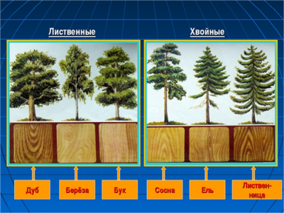 Пиломатериал лиственные и хвойных пород