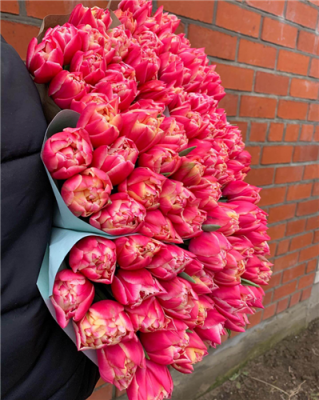 Тюльпаны оптом 2022 - купить за 1,50 руб в Минске